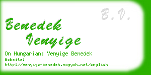 benedek venyige business card